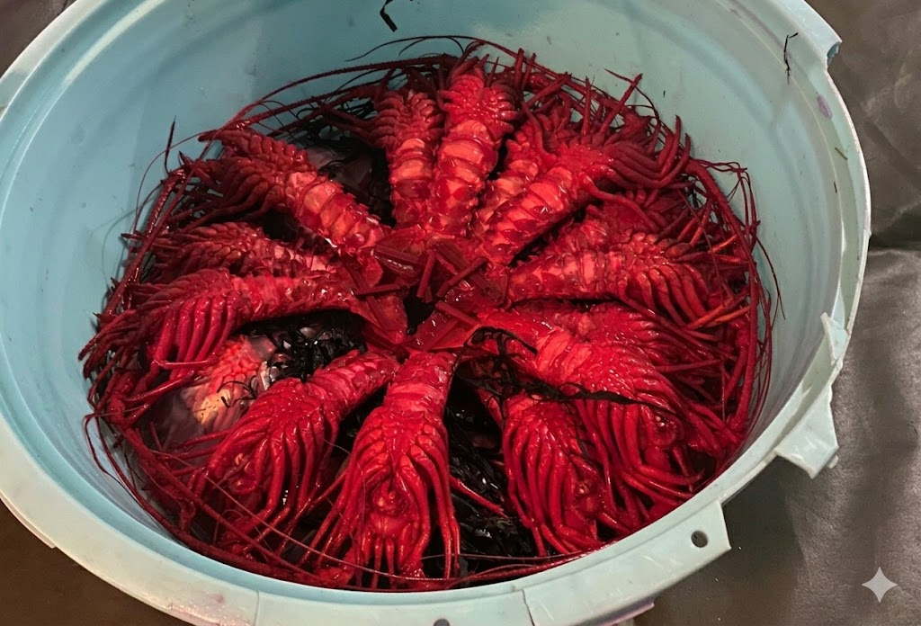 生海老イメージ